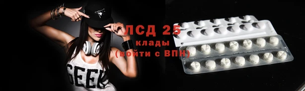 ECSTASY Пересвет
