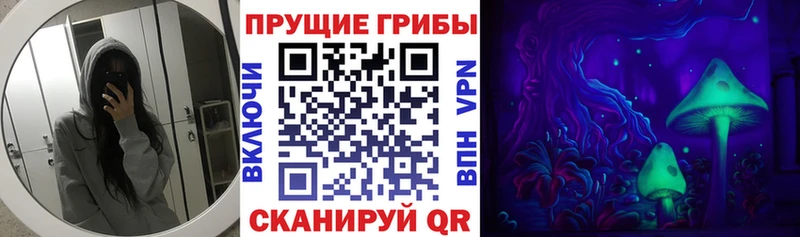Псилоцибиновые грибы Magic Shrooms  mega зеркало  Комсомольск 